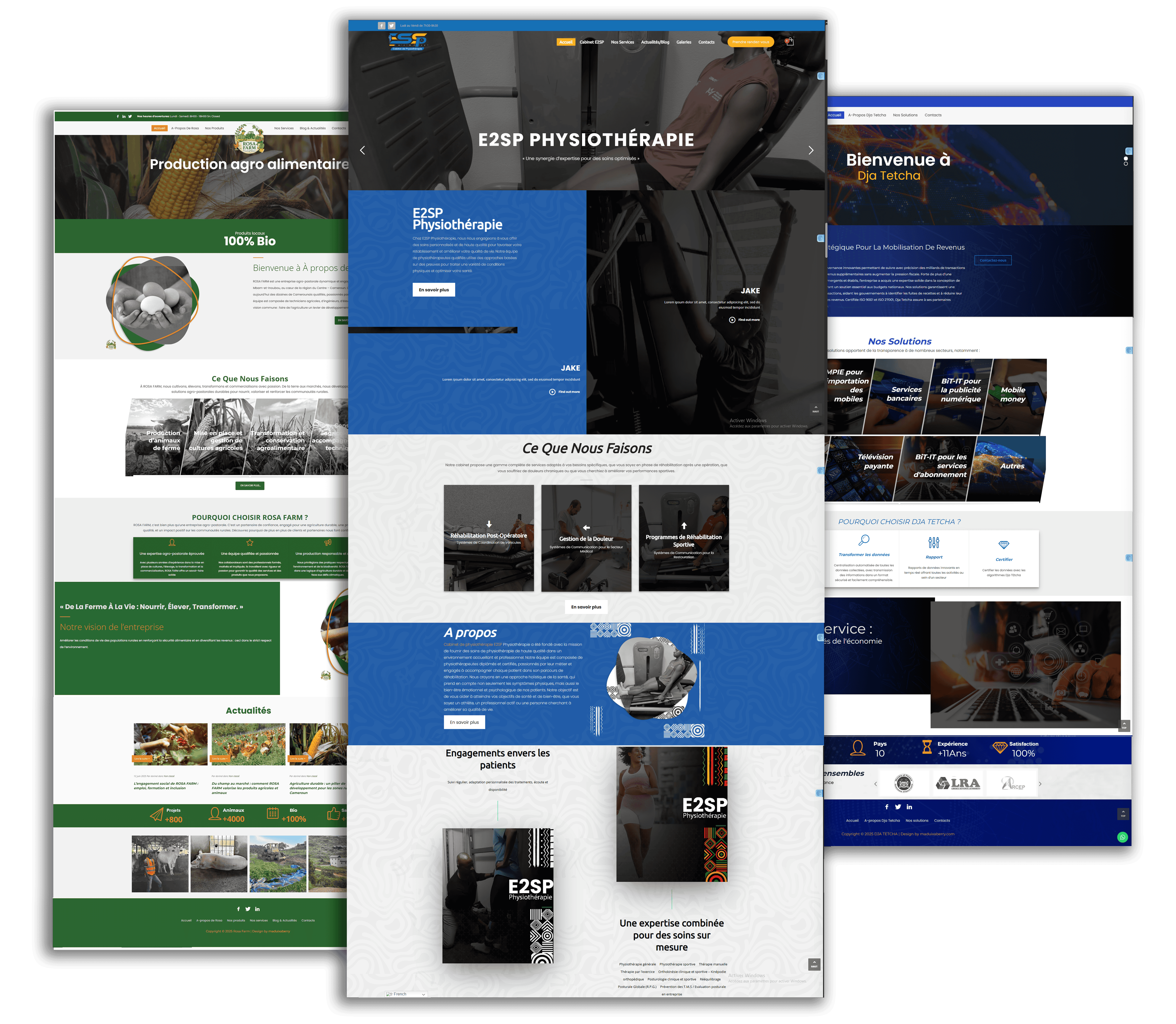 agence-de-creation-des-sites-web-en-afrique-by-maduixaberry-02 (2)